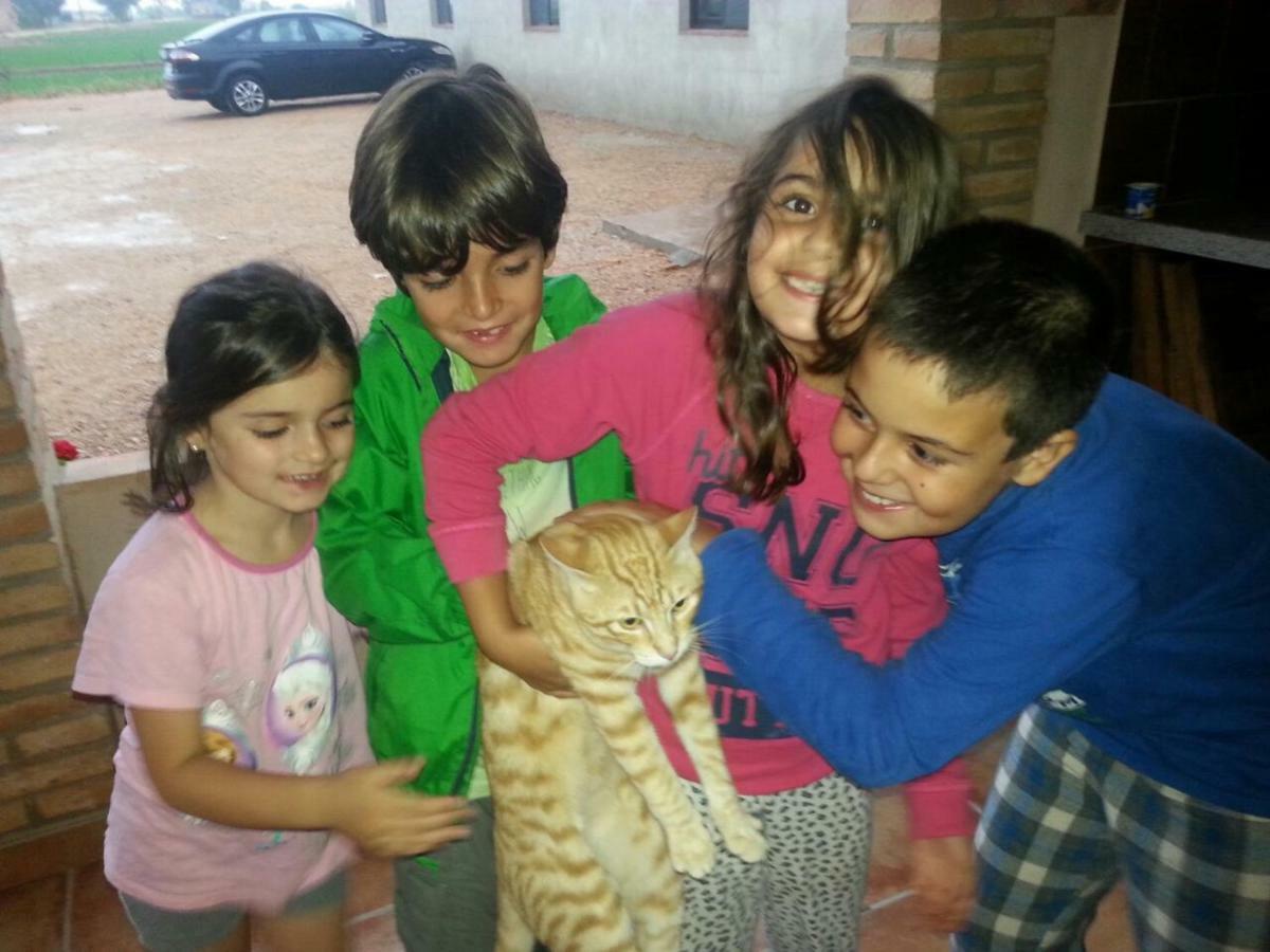 בית הארחה דלטברה 	Casa La Tora מראה חיצוני תמונה